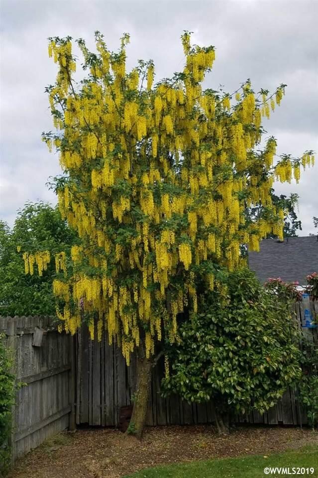 5334 Melrose Ct N, Keizer, OR 97303 - photo 2