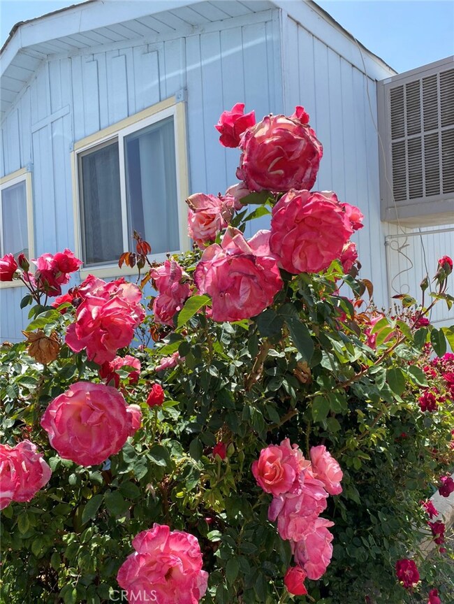 16473 Green Tree Blvd unit 33, Victorville, CA 92395 - photo 3