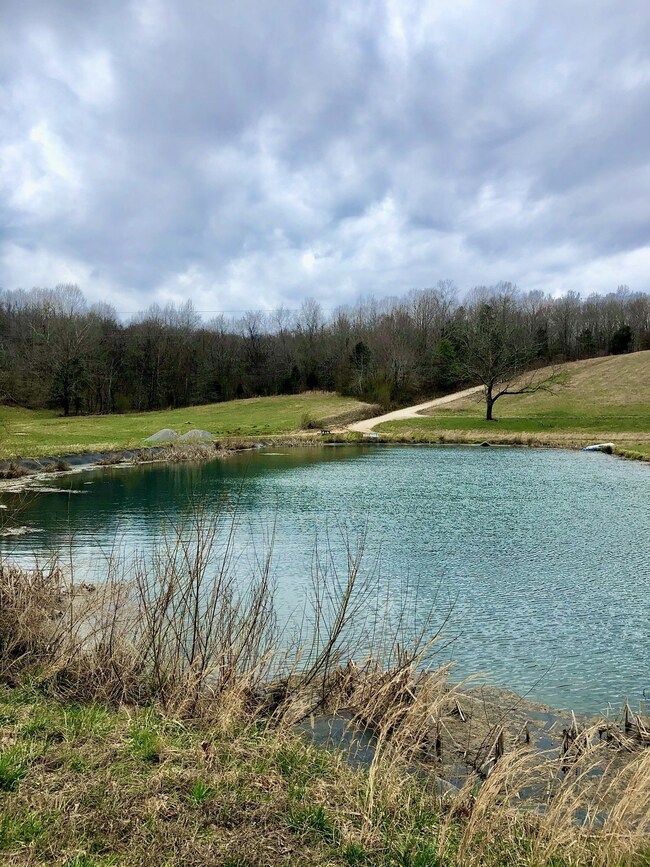 165 Deep C Ln, Tennessee Ridge, TN 37178 - photo 6