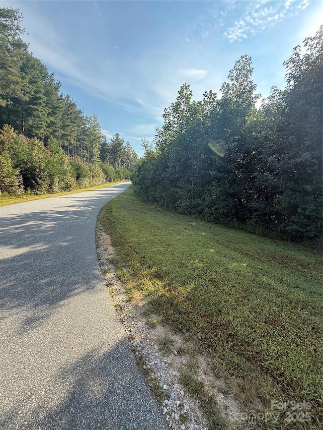 9999 Peninsula Reserve Rd, Nebo, NC 28761 - photo 3