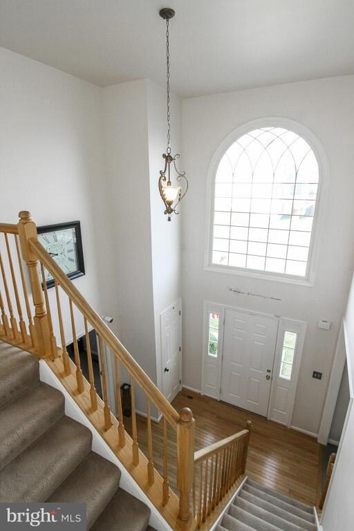 32 Northampton Blvd, Stafford, VA 22554 - photo 5