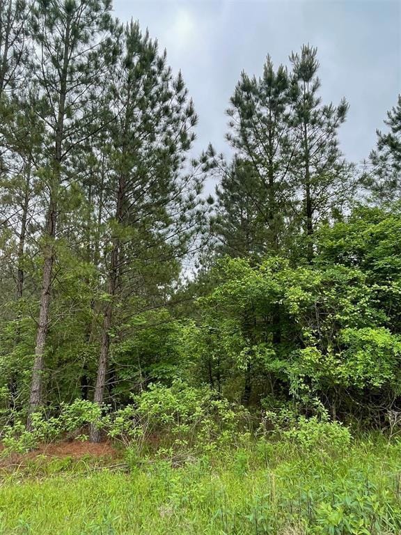 3 Sugarberry Trail, Broken Bow, OK 74728 - photo 3