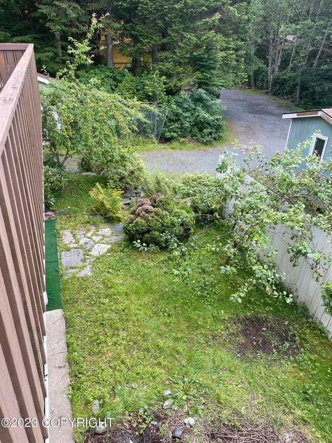 Front Yard