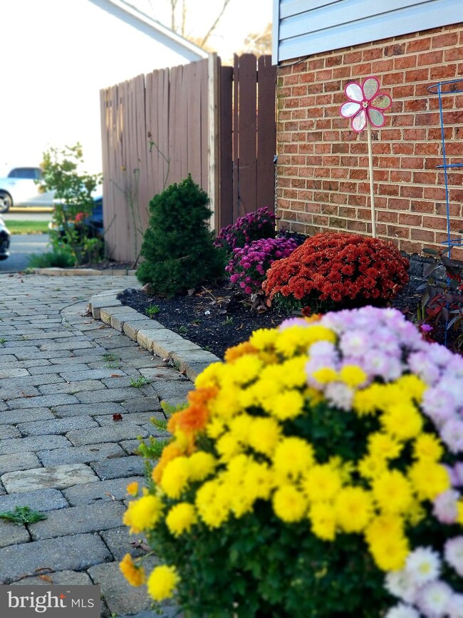 8309 Cypress St, Laurel, MD 20707 - photo 4