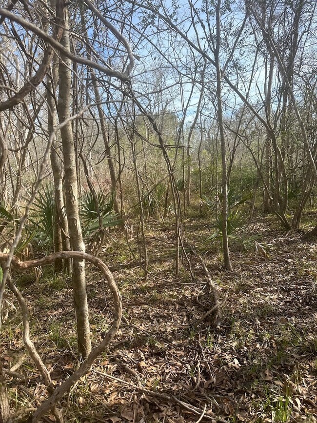 0 County Road 510u, Brazoria, TX 77422 - photo 4