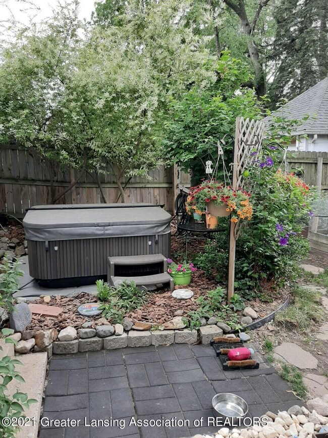 Back yard 3