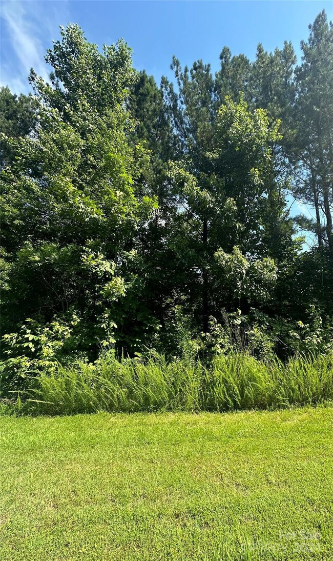 5135 Star Magnolia Ct, Clover, SC 29710 - photo 5