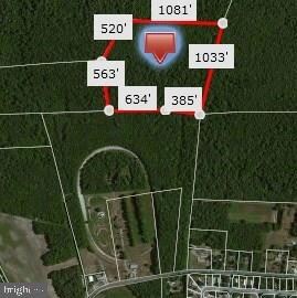 000 Wilson Rd, Georgetown, DE 19947 - photo 2