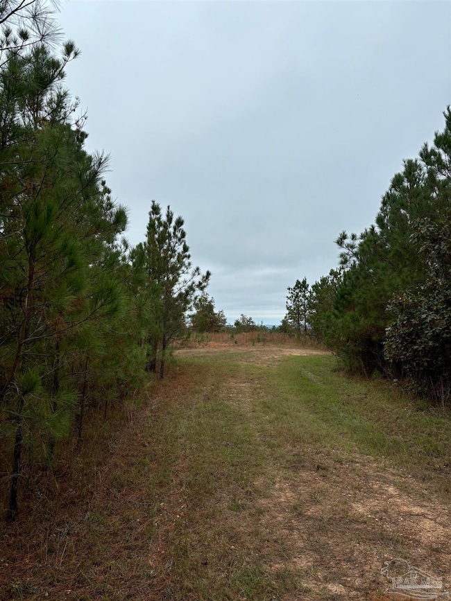 000 Apple Grove Rd, Vredenburgh, AL 36481 - photo 3