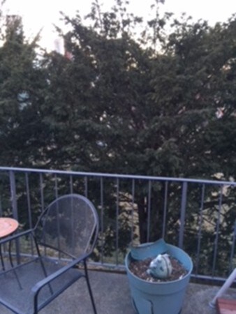 11 Barton Square unit 203, Salem, MA 01970 - photo 6