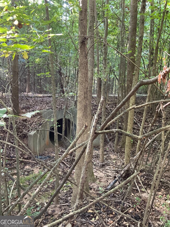 0 Bowers St unit LOT 1-8 10576344, Bowman, GA 30624 - photo 7