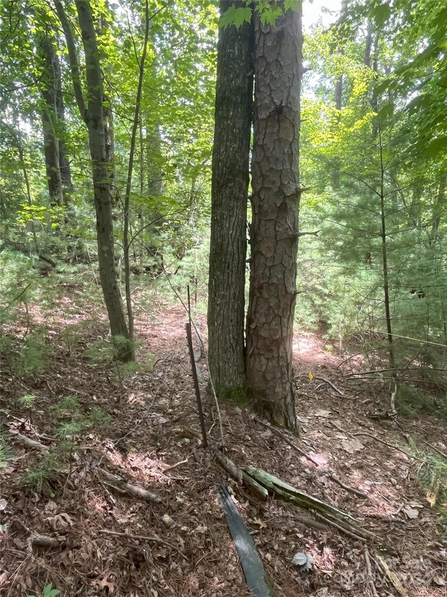 Staked house site (view 2)