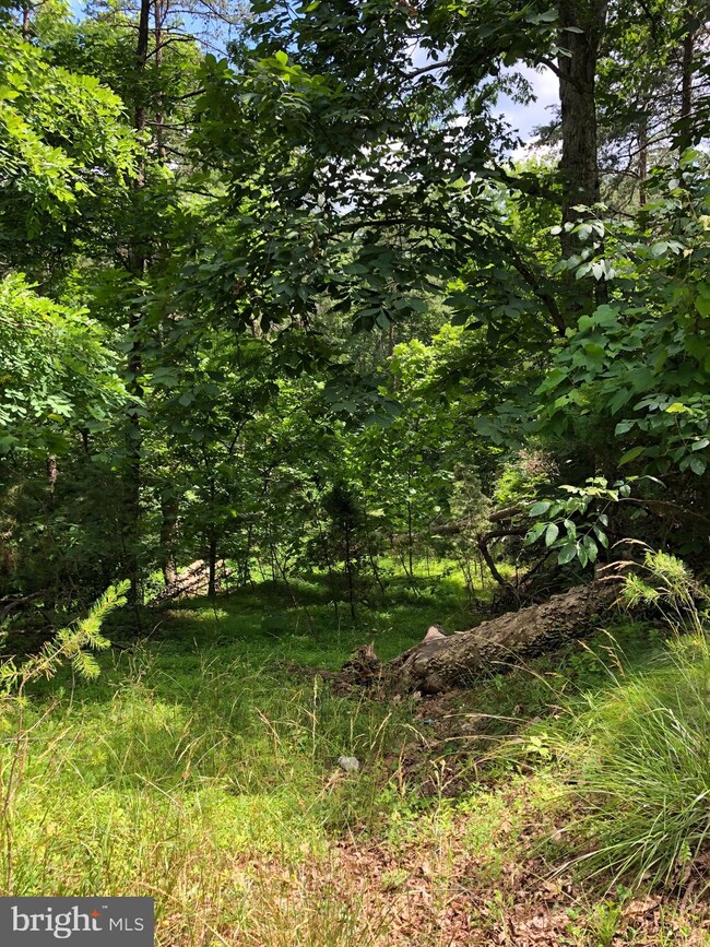 0 Virginia Line Rd unit WVMO115566, Berkeley Springs, WV 25411 - photo 6