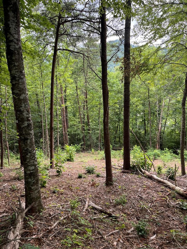 00 Jacobs Mountain Rd, Franklin, NC 28734 - photo 7