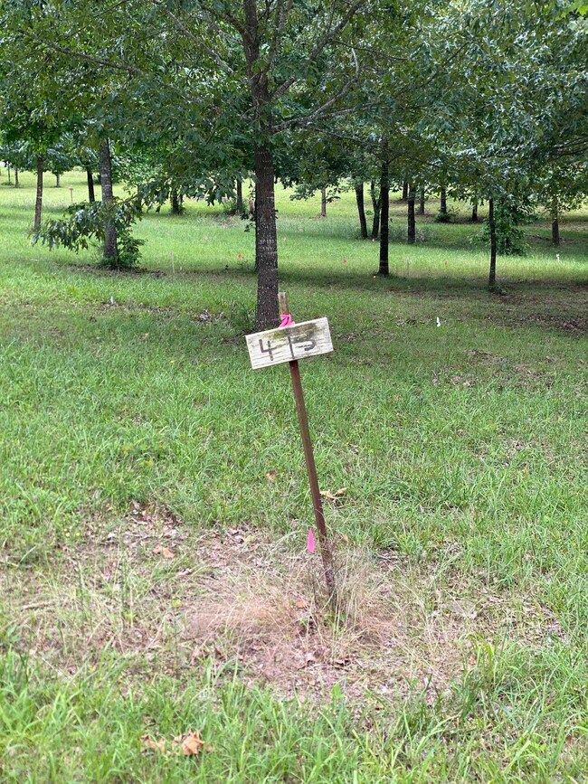 0 Ridge Cir unit 25048299, Quitman, AR 72131 - photo 4