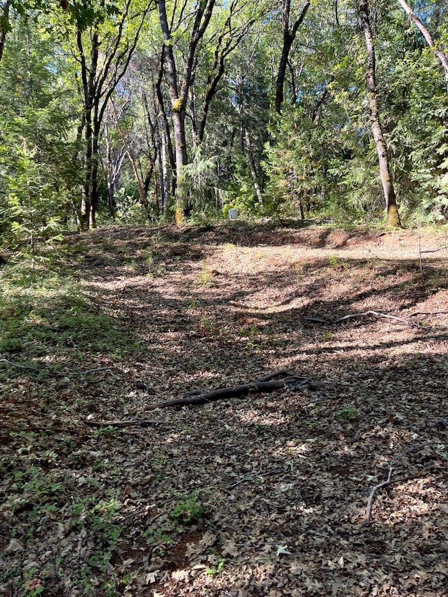 20676 Spring Garden Rd, Foresthill, CA 95631 - photo 6