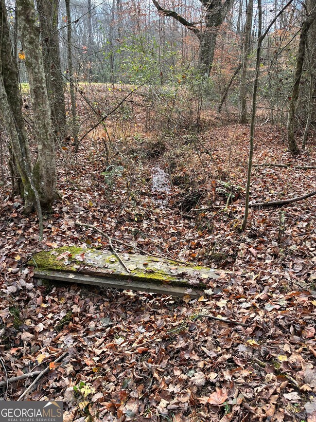 0 Yukon Rd unit 10649657, Ellijay, GA 30536 - photo 7