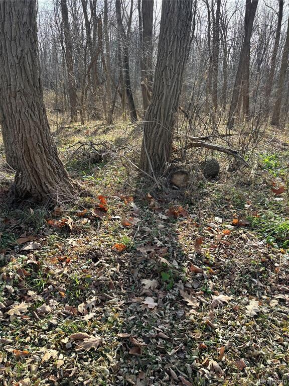 00 Faussett Rd, Tyrone Township, MI 48430 - photo 6