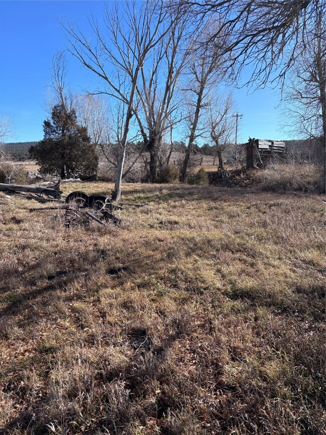 TBD Hwy 84, Cebolla, NM 87518 - photo 5