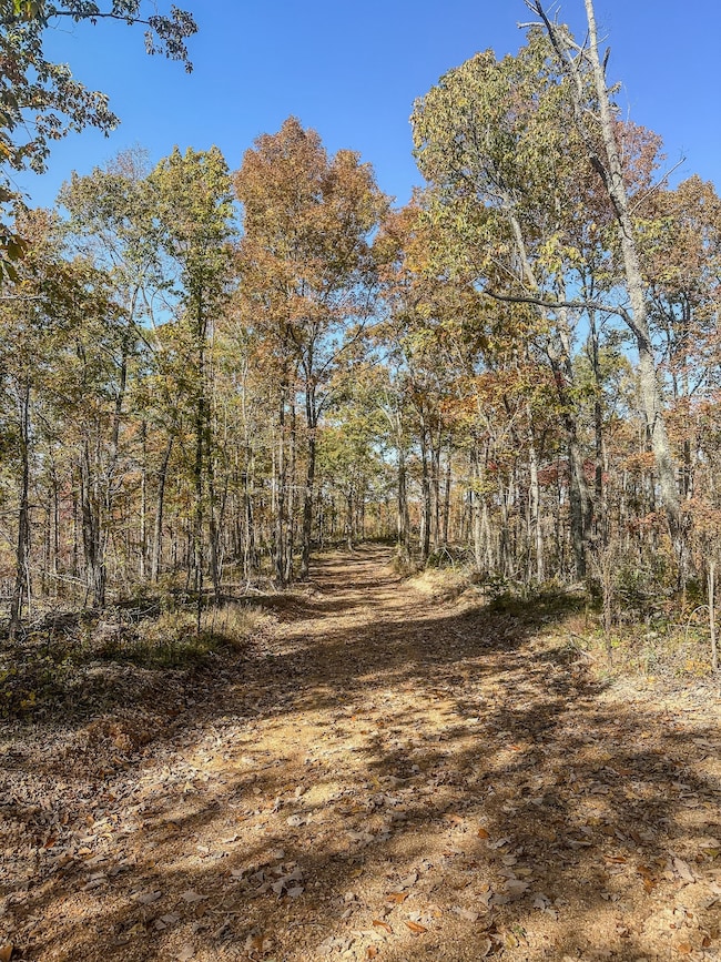 0 Fire Tower Rd, Centerville, TN 37033 - photo 5