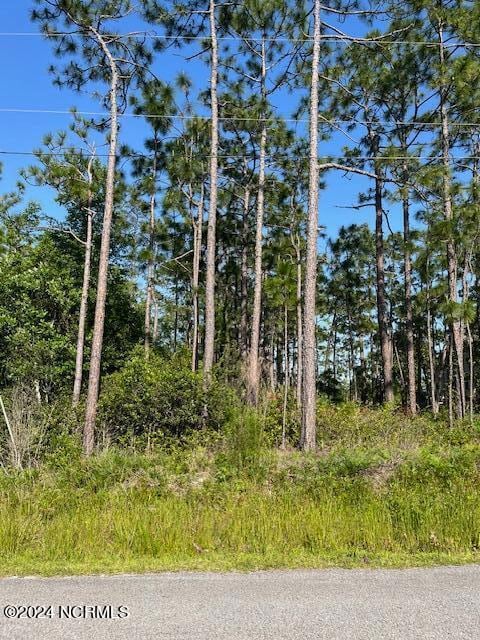 557 Lumbee Rd, Boiling Spring Lakes, NC 28461 - photo 2