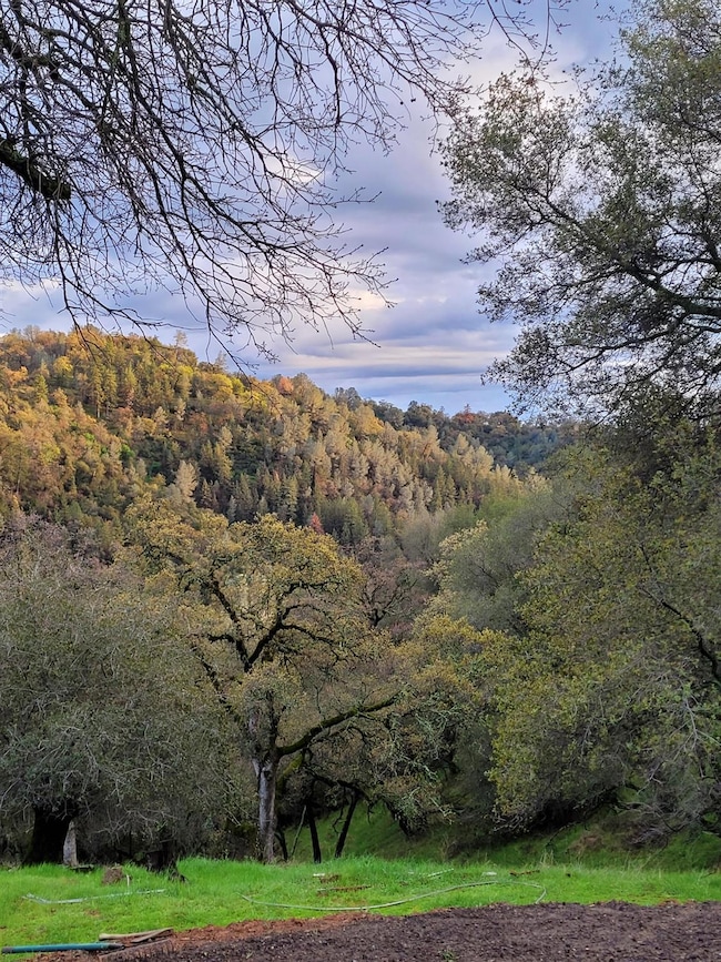 Forever views from the back porch!