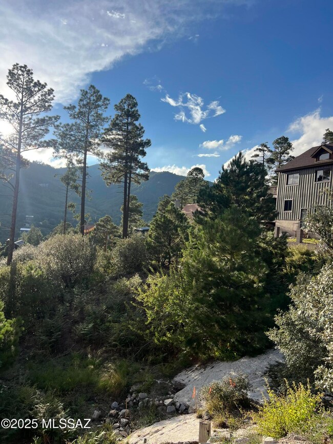 12625 N Ajo Ave unit 9, Mt. Lemmon, AZ 85619 - photo 6