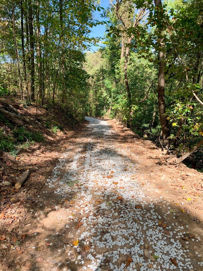 0 Bethel Rd, Prospect, TN 38477 - photo 4