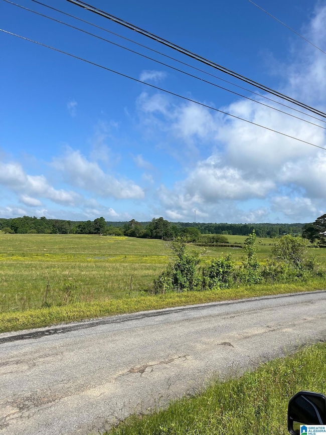 0 Morton Rd unit 21423587, Oneonta, AL 35121 - photo 2