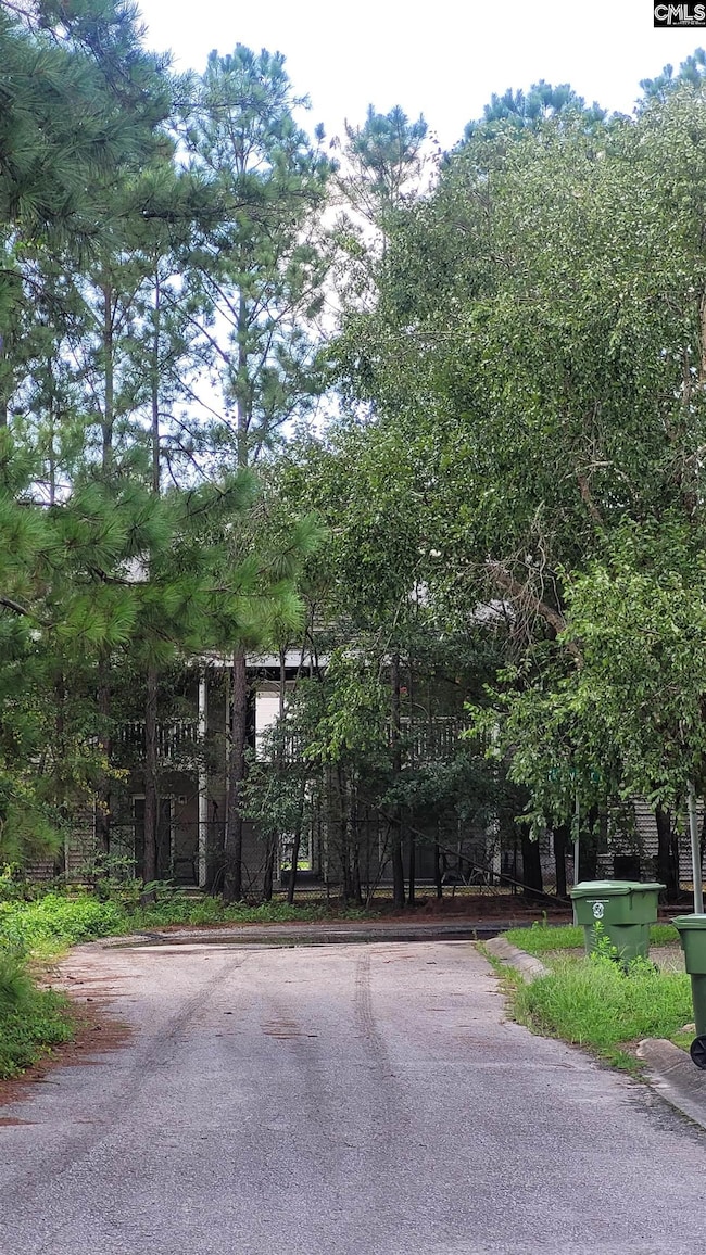 4 Chesapeake Ct, Columbia, SC 29223 - photo 3