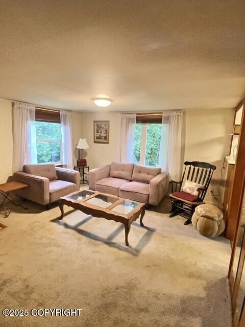 2120 E 75th Ave, Anchorage, AK 99507 - photo 2