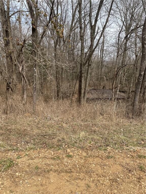 10 AC Stout Mountain Rd, Fayetteville, AR 72701 - photo 7