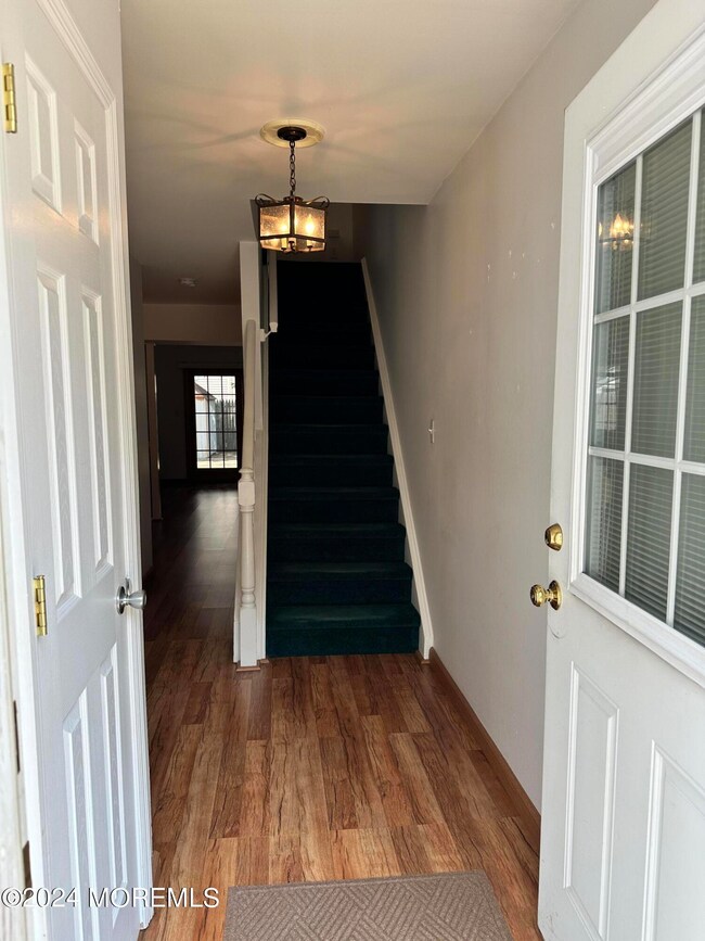 Looking in the Front Door