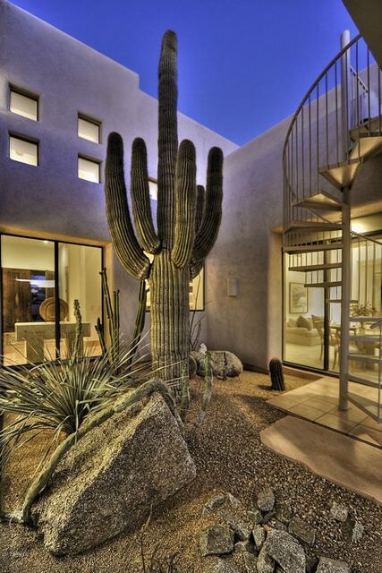 Patio Atrium