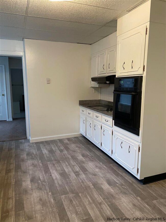 103 Flatbush Camp Rd unit 4, Saugerties, NY 12477 - photo 2