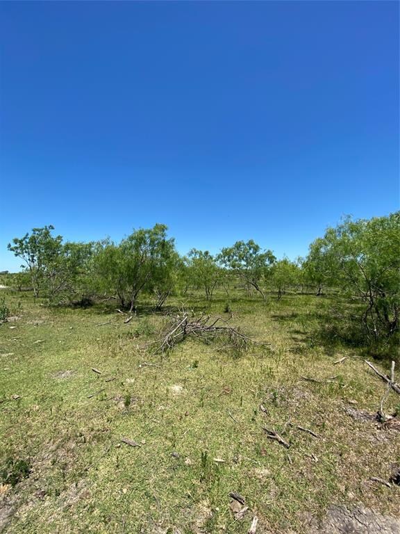 Lot 7 TBD Fm 1181, Ennis, TX 75119 - photo 3