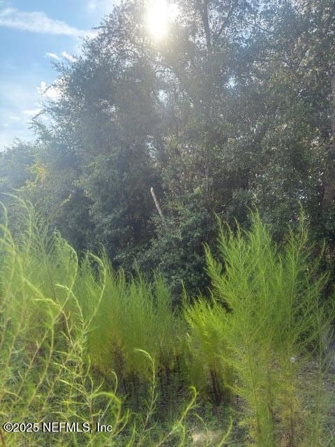 5727 Chippewa Ave, Keystone Heights, FL 32656 - photo 6