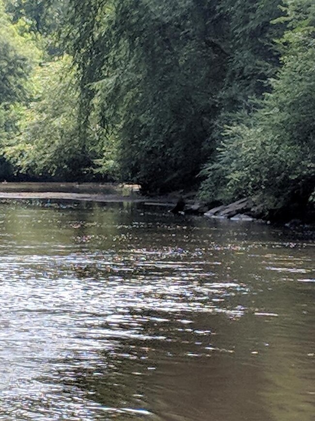 0 River Walk unit 144659, Forsyth, GA 31029 - photo 3