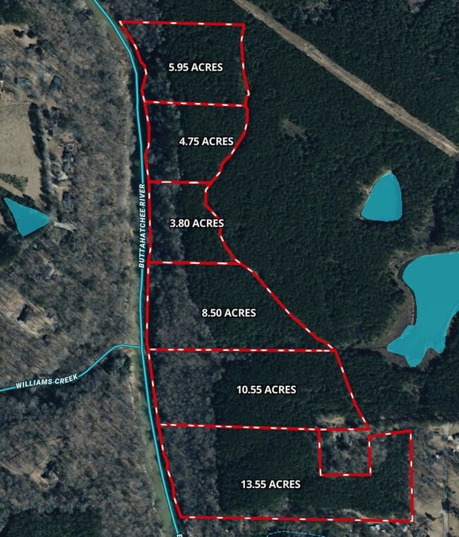 Harmony Way, Hamilton, AL 35570 - photo 4