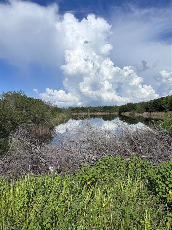 0 29th Ave NE unit 225067735, Naples, FL 34120 - photo 7