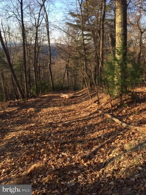 0 Rt 5 10 (Buffalo Hills Road), Franklin, WV 26807 - photo 5