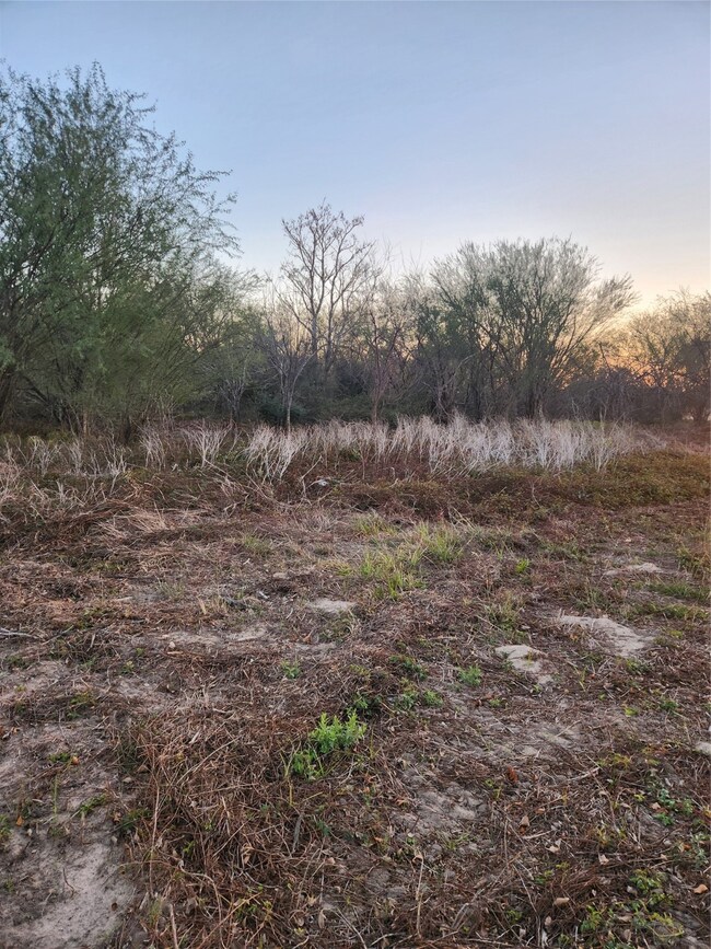TBD Hwy 71 S, Columbus, TX 78934 - photo 5
