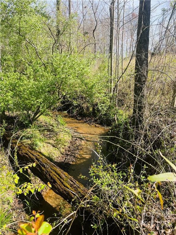 198 Austin Rd, Statesville, NC 28625 - photo 3