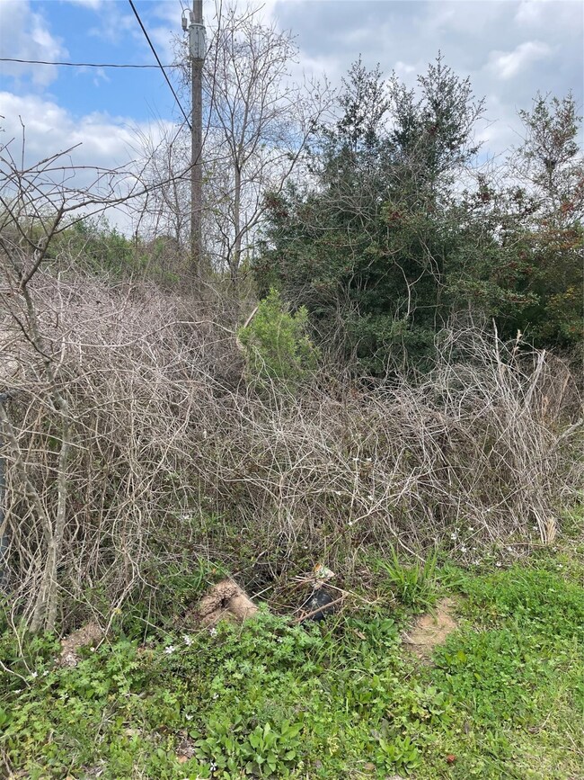 TBD Ibis Rd, Hockley, TX 77447 - photo 6