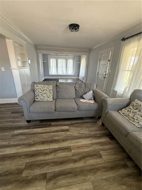 Living room with ornamental molding and dark wood-type flooring