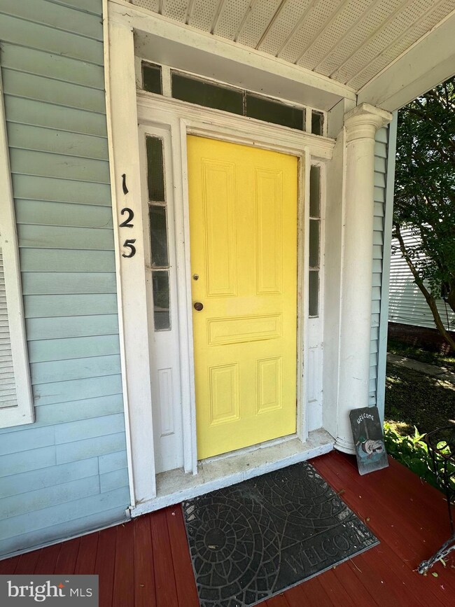 125 W End Ave unit 2, Cambridge, MD 21613 - photo 3