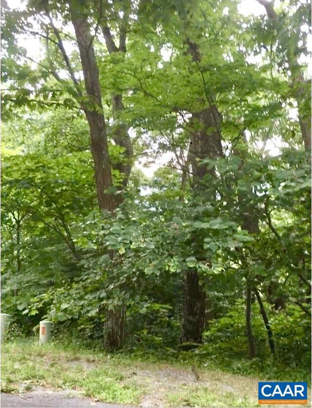 108 Rock Tree Ln unit 119, Roseland, VA 22967 - photo 3