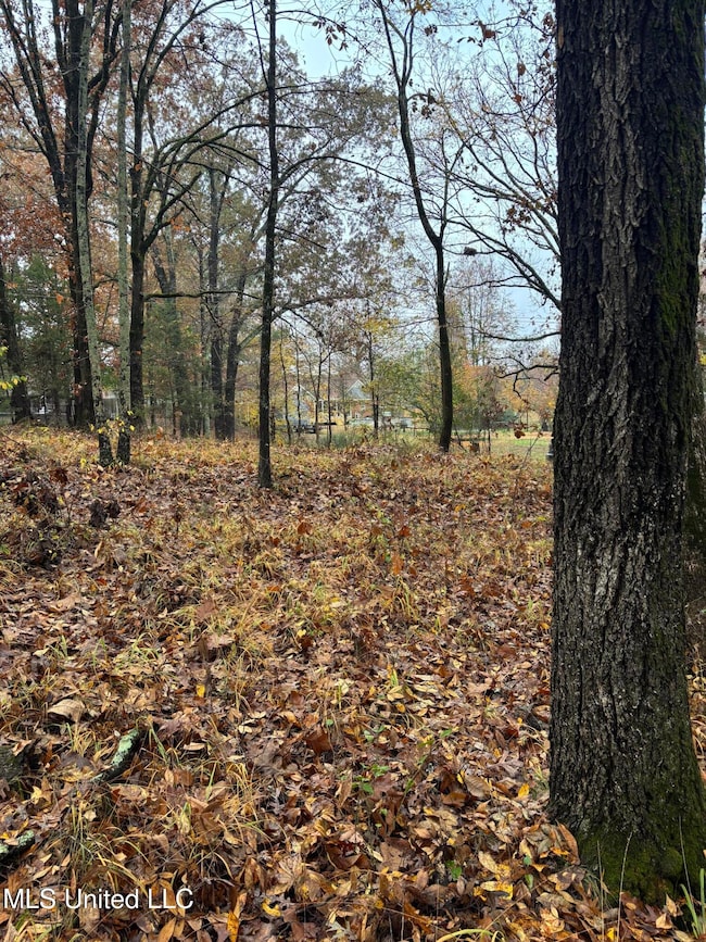 0 Alexander Dr, Olive Branch, MS 38654 - photo 7