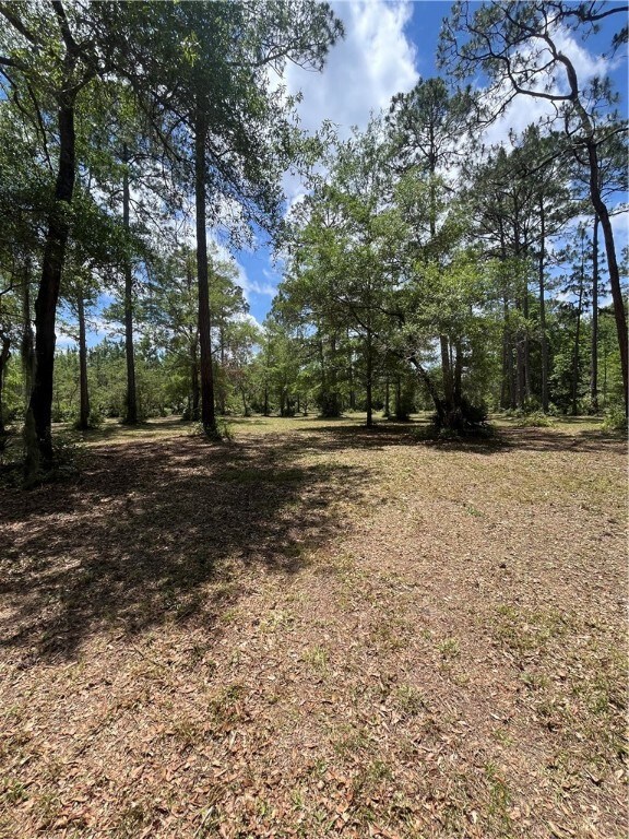 Cleared section of property est 1.25 acres.  Mowed