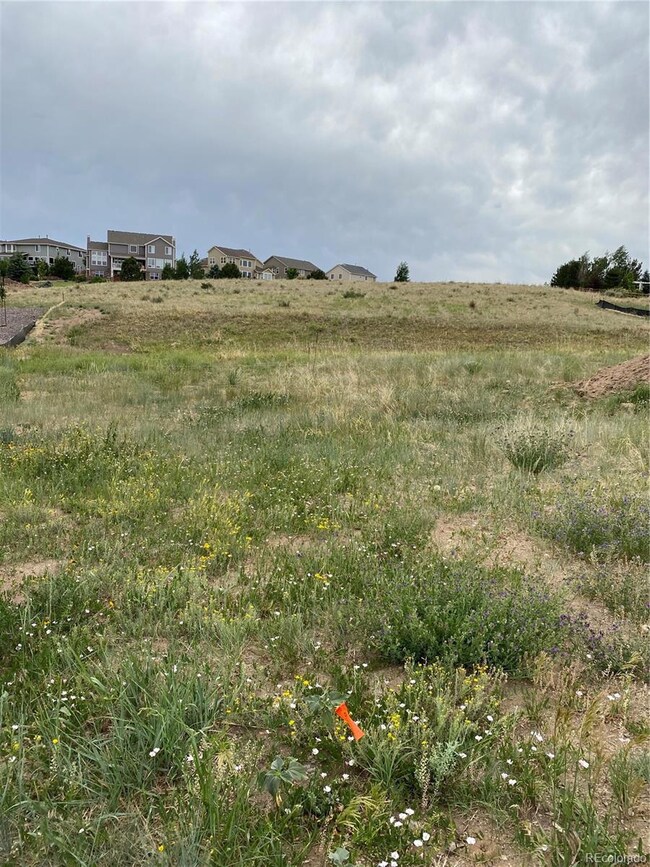 5720 Distant View Place, Parker, CO 80134 - photo 3
